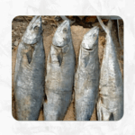 Ney Meen(நெய் மீன்)