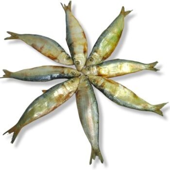 Salai (சாளை - மத்தி)