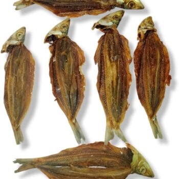 Mural (முரல் - தொண்டன்)