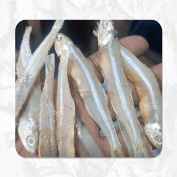 Goa Nethili (கோவா நெத்திலி)