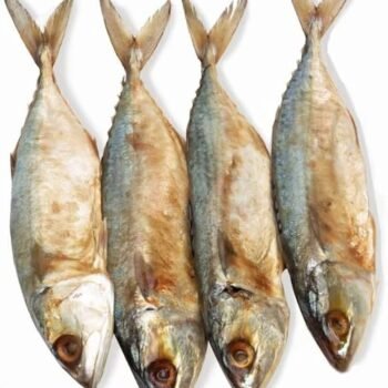 அயிலை மீன் கருவாடு (கானாங்கெளுத்தி)