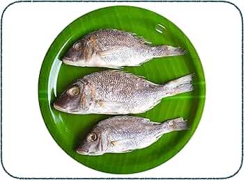 விளை மீன் கருவாடு