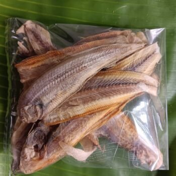 Sole fish (நங்கு/அடல்