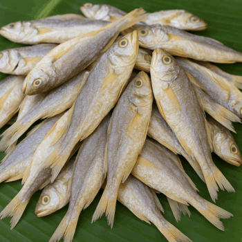 பண்ணை கருவாடு