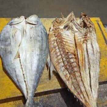 மஞ்ச பாறை கருவாடு