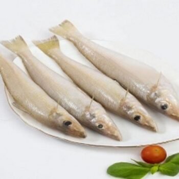 கிழங்கான்