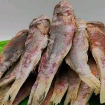 நகரை கருவாடு